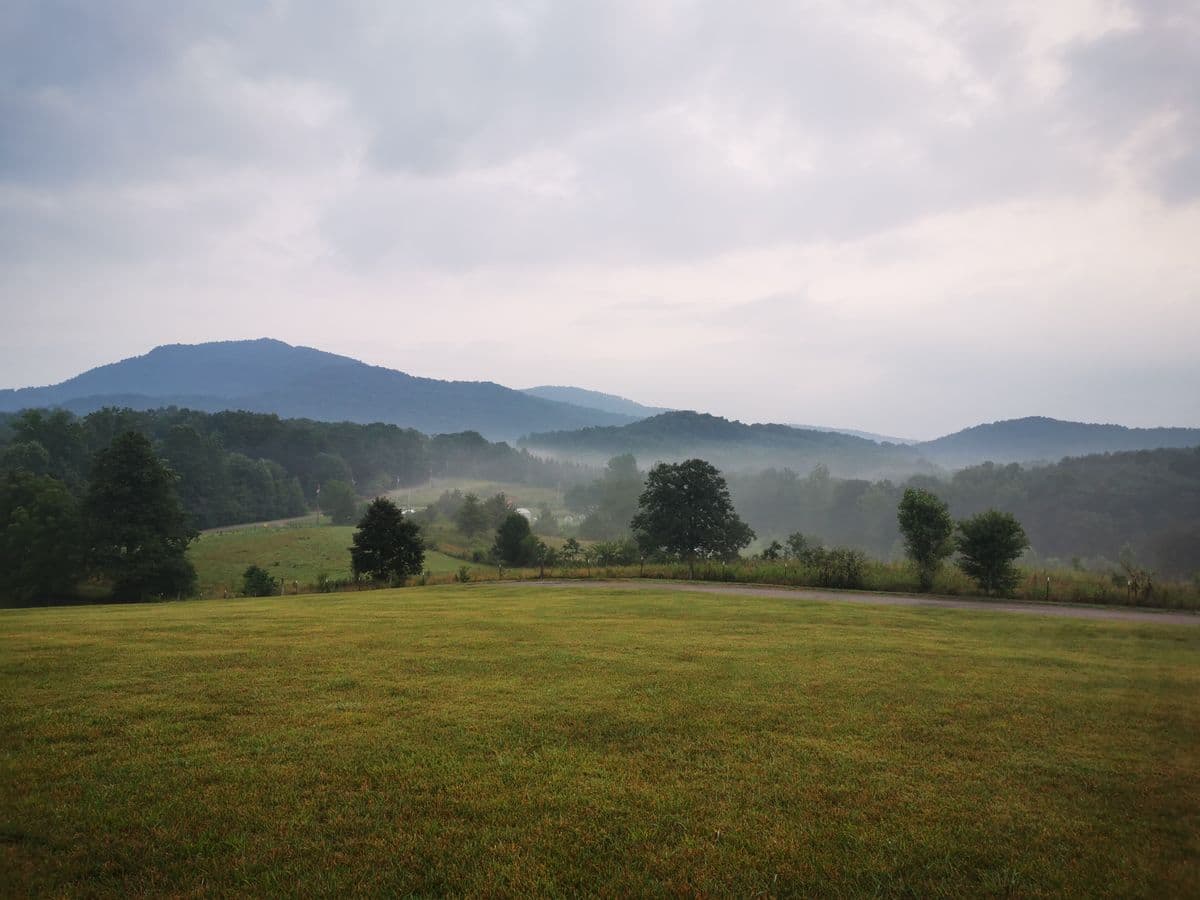 Morning mist over green foothills and pasture