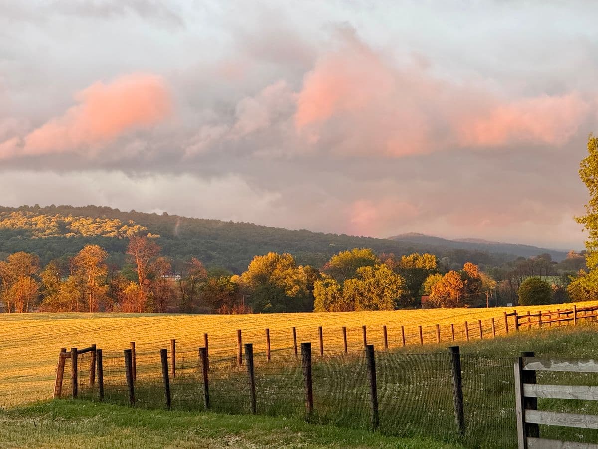 Golden farm field with a wooden fence at sunset