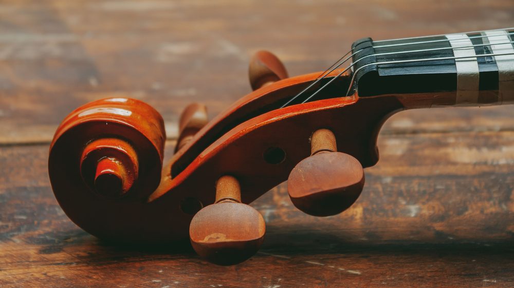 The Symphony of a Healthy Smile: Dental Care as an Orchestra of Well-being