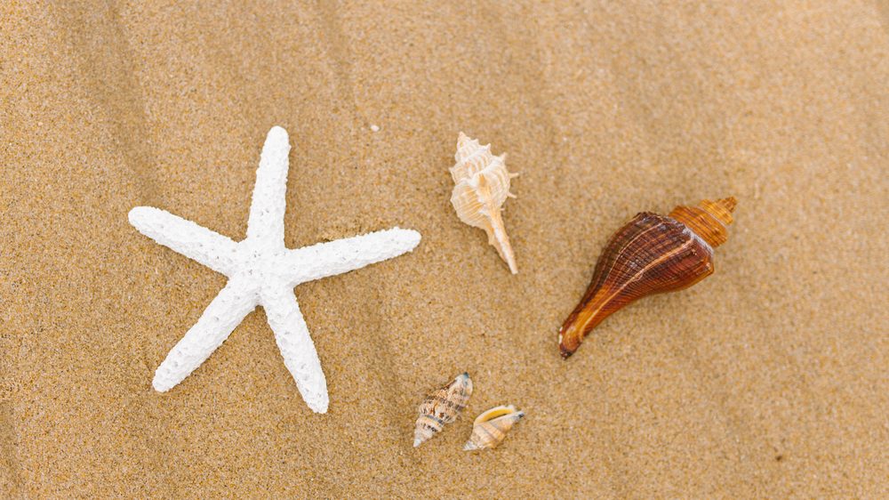 Summer Whitening: Smile Perfected